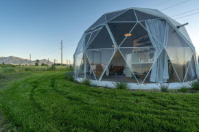 Dome #3
